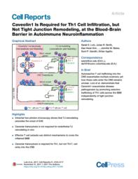 thumnail for PIIS2211124717315747.pdf