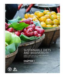 thumnail for Lairon et al. - SUSTAINABLE DIETS AND BIODIVERSITY.pdf