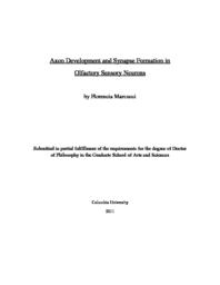 thumnail for Marcucci_columbia_0054D_10003.pdf