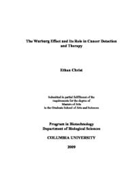 thumnail for EthanChrist-Thesis_CL.pdf