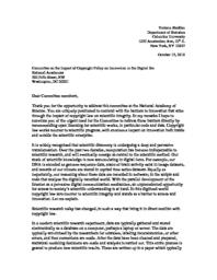 thumnail for CopyrightInnovationRemarksStodden10152010.pdf