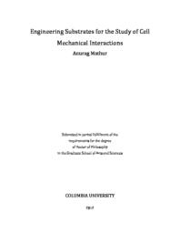 thumnail for Mathur_columbia_0054D_10462.pdf