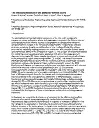 thumnail for MyersActaBiomaterialia1.pdf