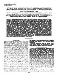 thumnail for 11-098.1.pdf
