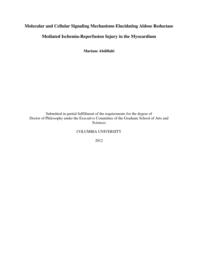 thumnail for Abdillahi_columbia_0054D_10606.pdf