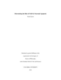 thumnail for Zareen_columbia_0054D_11009.pdf