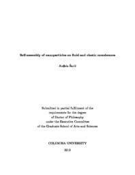 thumnail for Saric_columbia_0054D_11496.pdf