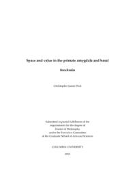 thumnail for Peck_columbia_0054D_11553.pdf