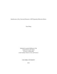 thumnail for Zhang_columbia_0054D_11767.pdf