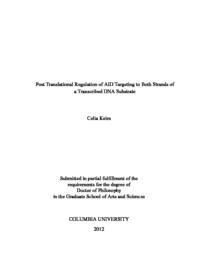 thumnail for Keim_THESIS.pdf