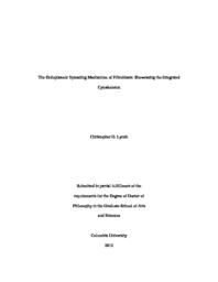 thumnail for Lynch_FINAL.pdf