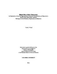 thumnail for BristolTravisJPhDDissertation.pdf