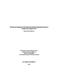 thumnail for Recinos_columbia_0054D_10890.pdf