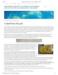 thumnail for A_Shark_From_The_Past.pdf