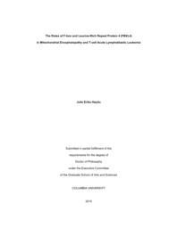 thumnail for Haydu_columbia_0054D_12414.pdf