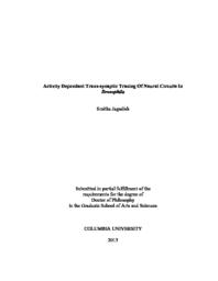 thumnail for Jagadish_columbia_0054D_11061.pdf
