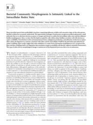 thumnail for J._Bacteriol.-2013-Dietrich-1371-80.pdf