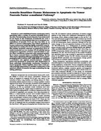 thumnail for JBC_2004_Ivanov.pdf