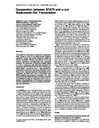 thumnail for MolCell_2001_Ivanov.pdf