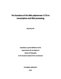 thumnail for Hsin_columbia_0054D_11600.pdf