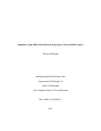 thumnail for Stefanakis_columbia_0054D_12866.pdf