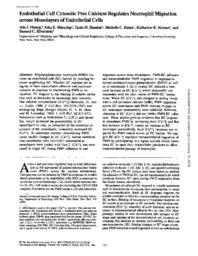 thumnail for J_Cell_Biol-1993-Huang-1371-80.pdf