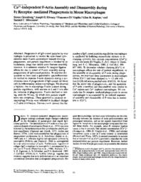thumnail for Address_Book_-_12-13-2011.pdf