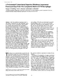 thumnail for J_Cell_Biol-1988-Steinberg-887-96.pdf