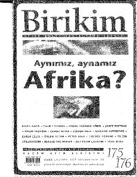 thumnail for Birikim_Article.pdf