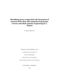 thumnail for Minevich_columbia_0054D_12576.pdf