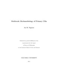 thumnail for Nguyen_columbia_0054D_12453.pdf