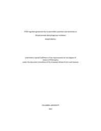 thumnail for Mathur_columbia_0054D_13758.pdf