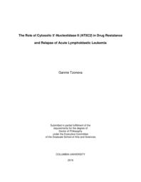 thumnail for Tzoneva_columbia_0054D_13475.pdf
