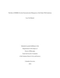 thumnail for Burnett_columbia_0054D_13528.pdf