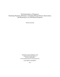 thumnail for Fernandez_columbia_0054D_13657.pdf