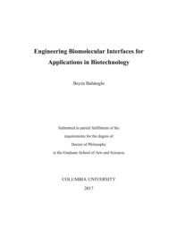 thumnail for Bulutoglu_columbia_0054D_13726.pdf