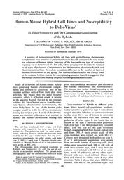 thumnail for Kusano et al. - 1970 - Human-Mouse Hybrid Cell Lines and Susceptibility t.pdf
