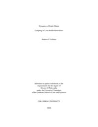 thumnail for Schlaus_columbia_0054D_15913.pdf