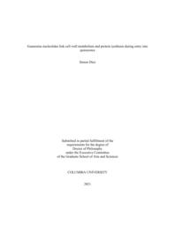 thumnail for Diez_columbia_0054D_16655.pdf