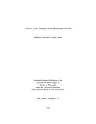 thumnail for VazquezCarson_columbia_0054D_17358.pdf