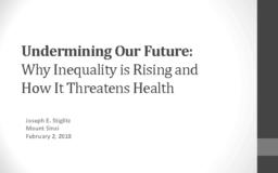 thumnail for Mt Sinai Inequality and Health Lecture.pdf