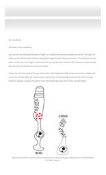 thumnail for https:_medicalhealthhumanities_com_2018_01_23_wws_p3_women_with_superhuman_sight_11_7_2023_5_44_12_AM.pdf