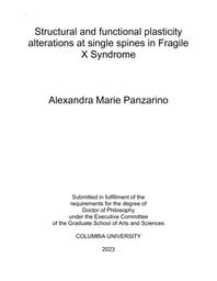 thumnail for Panzarino_columbia_0054D_17893.pdf
