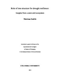 thumnail for Guerin_columbia_0054D_14894.pdf