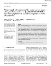 thumnail for Parrot AM et al Hemtol Oncol 2020.pdf