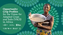 thumnail for Opportunity-Crop-Profiles-for-the-Vision-for-Adapted-Crops-and-Soils-in-Africa-Report-Final.pdf