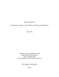 thumnail for Wu_columbia_0054D_14906.pdf