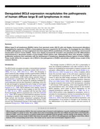 thumnail for Cattoretti G et al Cancer Cell 2005.pdf