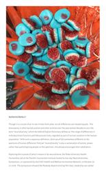 thumnail for https:_medicalhealthhumanities_com_2018_11_06_what_the_autist_poet_and_filmmaker_dj_savarese_taught_me_about_neurodiversity_11_7_2023_5_42_33_AM.pdf
