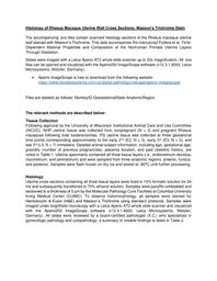 thumnail for Histology of Rhesus Macaque Uterine Wall Cross Sections - README.pdf